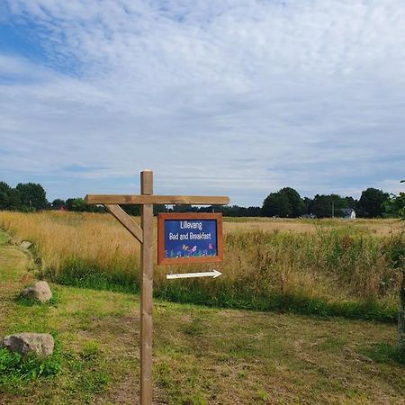 Lillevang Bed & Breakfast Sorø Exteriör bild