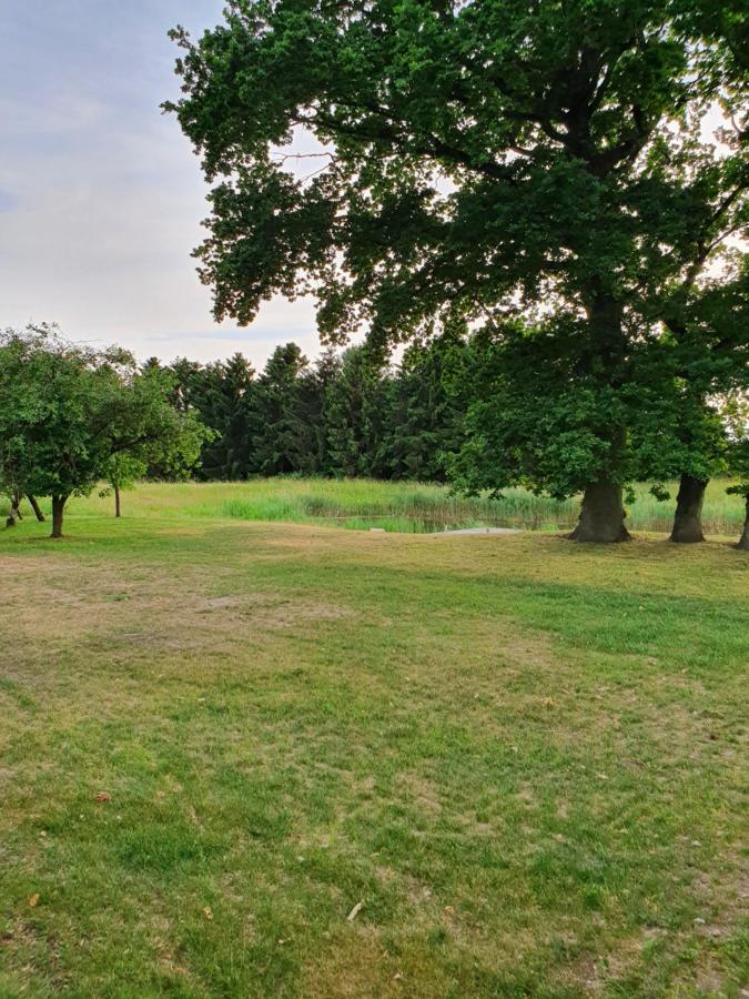Lillevang Bed & Breakfast Sorø Exteriör bild